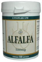 Alfalfa 1151