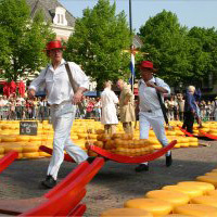 Alkmaar, Cheesemarket and Windmills - Adult