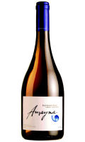 Amayna Barrel Fermented Sauvignon Blanc