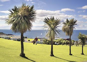 Unbranded Auchenlarie Bronze 2 Holiday Park