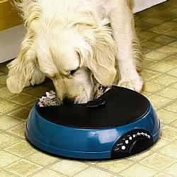 Auto Pet Feeder