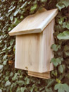 Unbranded Bat Box