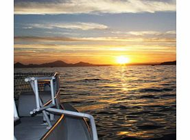 Unbranded Cabos Original Sunset Cruise - Child