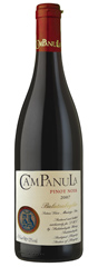 Unbranded Campanula Pinot Noir 2007 RED Hungary