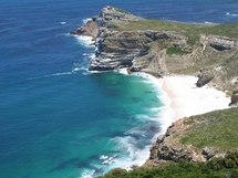 Unbranded Cape Peninsula Tour - Adult