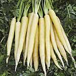 Unbranded Carrot Creme De Lite F1 Seeds