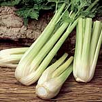 Unbranded Celery Golden Spartan Seeds 434582.htm