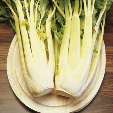 Unbranded Celery Loretta Seeds Average Seeds 350