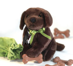 Chocolate Labrador