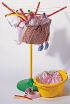 CLOTHES WASHING SET