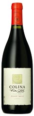 Unbranded Colina de Piatra Alba Pinot Noir 2007 RED Romania