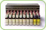 COMPLETE SET 40 X 20ml REMEDIES