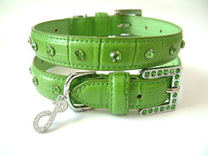 Crocodile Rocks dog collar