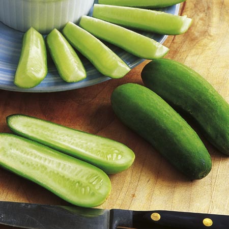 Unbranded Cucumber Green Fingers F1 Pot Ready Plants Pack