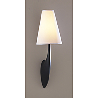 Unbranded DADUO0794 - Black Wall Light