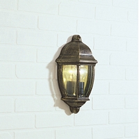 Unbranded DANEW2135 - Black and Gold Outdoor Wall Light