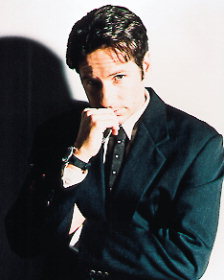 David Duchovny photo