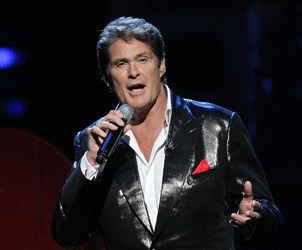 Unbranded David Hasselhoff