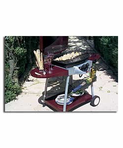 Deluxe Twin Burner Gas BBQ.