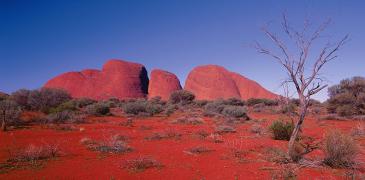 Unbranded Desert Awakenings