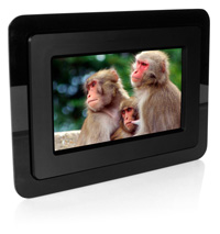 Unbranded Digital Photo Frame (7 Frame Black)