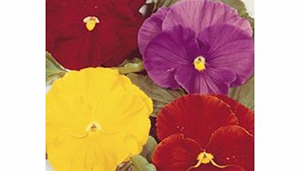 Unbranded Dobies Value Flower Seed Collection -
