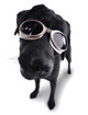 Doggles(K9 Optix extra large green)