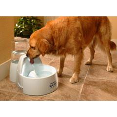 Unbranded Drinkwell Big Dog Fountain