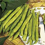 Unbranded Dwarf French Bean Tendergreen Seeds