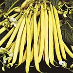 Unbranded Dwarf French Bean Valdor Seeds 431063.htm