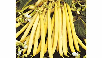 Unbranded Dwarf French Bean Valdor Seeds