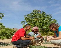 Unbranded Egyptian Farming 101 (Sharm el-Sheikh) - Small