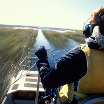 No trip to Miami would be complete without an excursion to the world-famous Everglades National Park