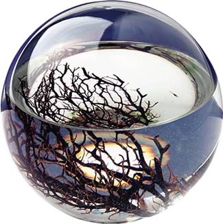 Extra Large Ecosphere