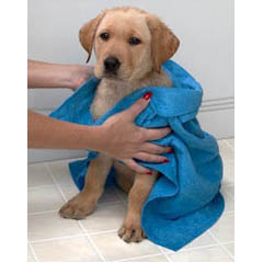 EzyDry Pet Towel