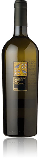 Unbranded Falanghina dei Feudi di San Gregorio 2008