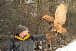 Falconry Discovery