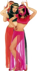 Unbranded Fancy Dress - 3 For 2 Adult Odalisque Harem Costume