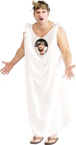 Unbranded Fancy Dress - Adult Animal House Toga