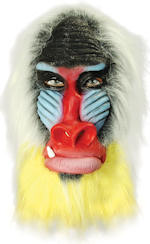 Unbranded Fancy Dress - Adult Baboon Mask
