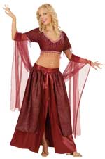 Unbranded Fancy Dress - Adult Belly Dancer Costume