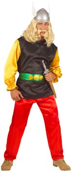 Unbranded Fancy Dress - Adult Blix the Gaul Costume