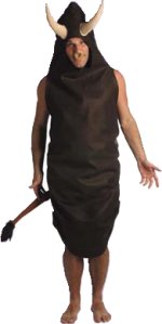 Unbranded Fancy Dress - Adult Bull Shit Costume