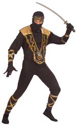 Unbranded Fancy Dress - Adult Dragon Ninja Costume