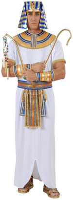 Unbranded Fancy Dress - Adult Egyptian Pharoah Costume