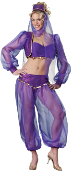 Unbranded Fancy Dress - Adult Elite Quality Harem Fantasy Costume Ex Small