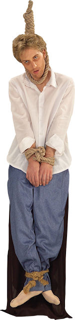 Unbranded Fancy Dress - Adult Halloween Well Hung Man Costume