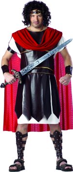 Unbranded Fancy Dress - Adult Hercules Costume (FC)