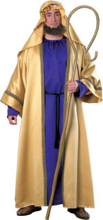 Unbranded Fancy Dress - Adult Joseph Costume