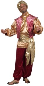 Unbranded Fancy Dress - Adult Men` Bollywood Costume